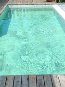 profitable swimming pool cleaning - 3