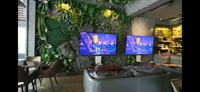 profitable turnkey café bang - 2