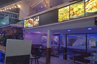 50 partner needed patong - 2