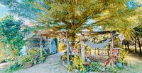 operational boutique wellness retreat - 1