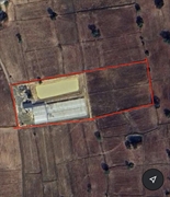 urgent sale greenhouse cultivation - 3