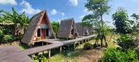 eco resort for nature - 3