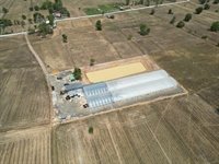 urgent sale greenhouse cultivation - 1
