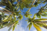 tranquil resort for sale - 1