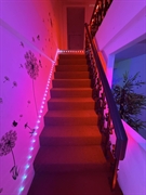 established turnkey bangkok wellness - 2
