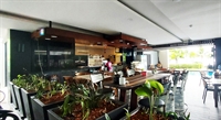 profitable beachside bakery restaurant - 2