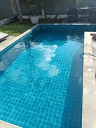 profitable swimming pool cleaning - 2