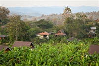 yoga retreat center training - 2