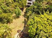 breathtaking tropical wellness center