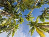 tranquil resort for sale