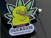 turnkey cannabis business farm